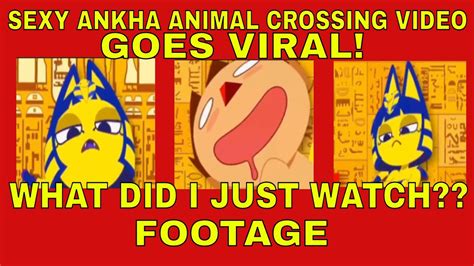 Futa Ankha Porn Videos 